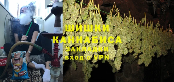 PSILOCYBIN Беломорск