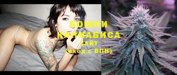 PSILOCYBIN Беломорск