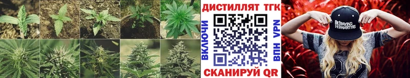 Дистиллят ТГК Wax  kraken ССЫЛКА  Ижевск 