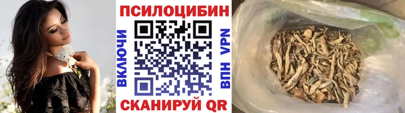 Псилоцибиновые грибы Psilocybe  Ижевск 